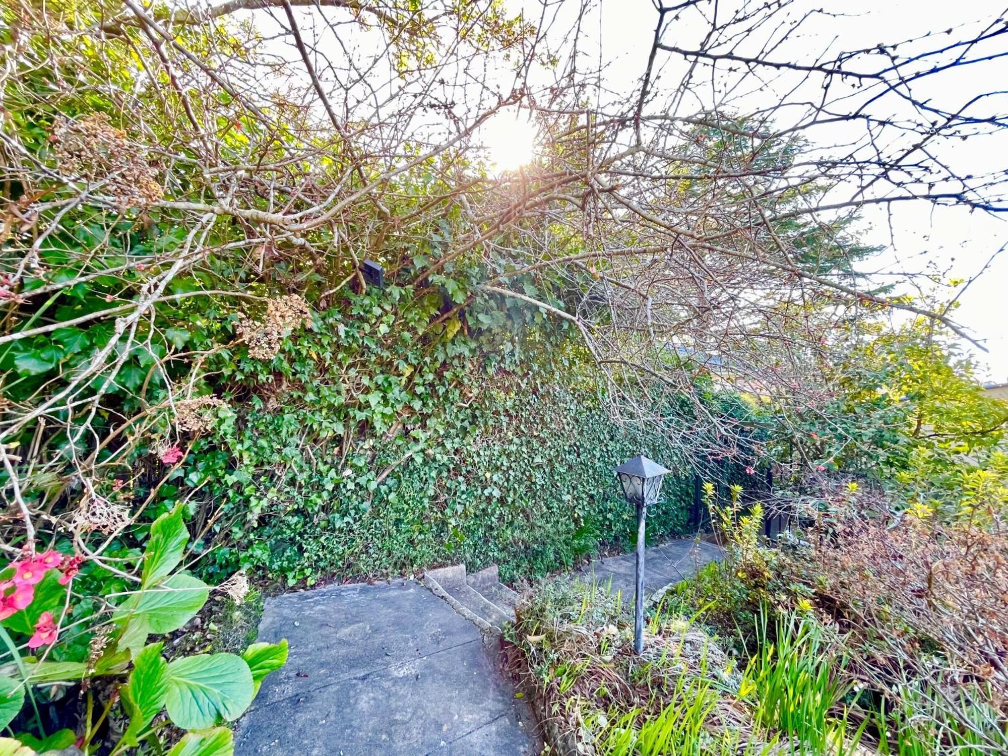 Villa Raspberry Terrace Of Leura Exterior foto