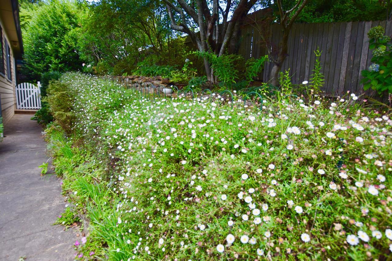 Villa Raspberry Terrace Of Leura Exterior foto
